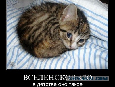 В Новокузнецке Медведева охраняли снайперы на крыше