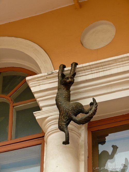 Демы к котовторнику!