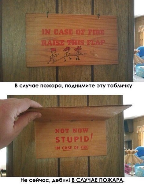 Подборка интересных и веселых картинок