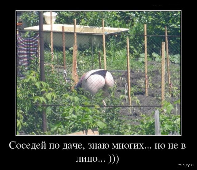 Дачные приколы