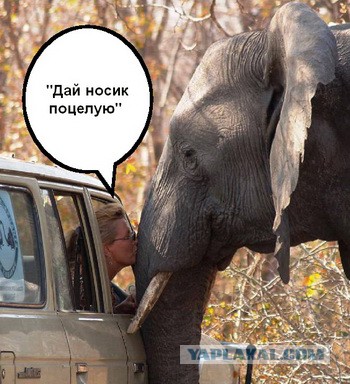 Подборка интересных и смешных картинок
