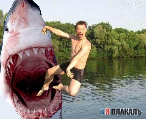 Фотожаба: Перед купанием