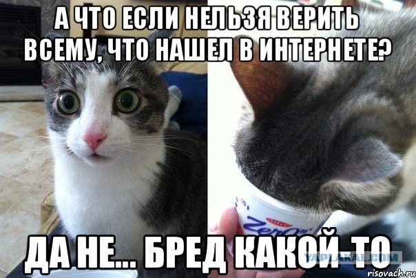 Наглые родственники. Продолжение
