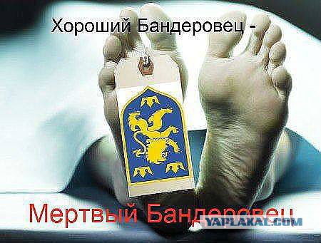 В Киеве злоумышленники с фейерверками и петардами атаковали посольство России