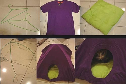 Мерзнет голая фигня. Нужна ли одежда голым кошкам?