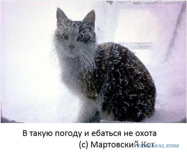 10 самых удивительных примеров экстремально холодной погоды