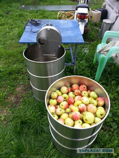 Изготовление яблочного сидра, своими силами, в подмосковье.
