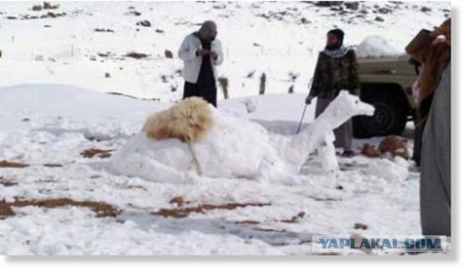 В Саудовской Аравии ударили морозы и выпал снег