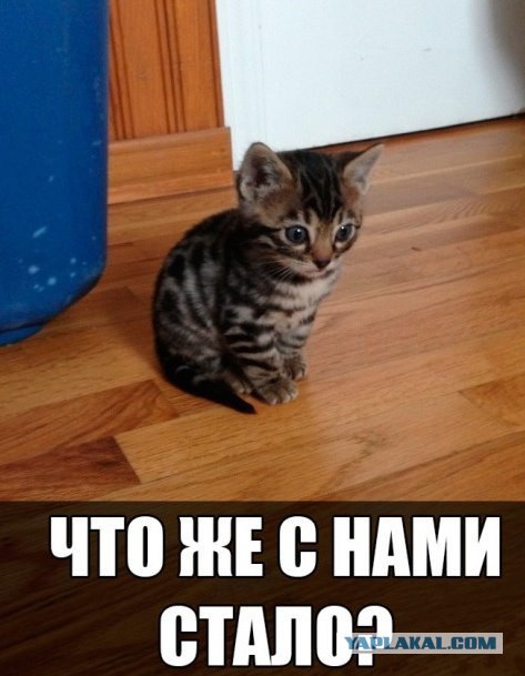 Большая реформа ОСАГО: процесс начался