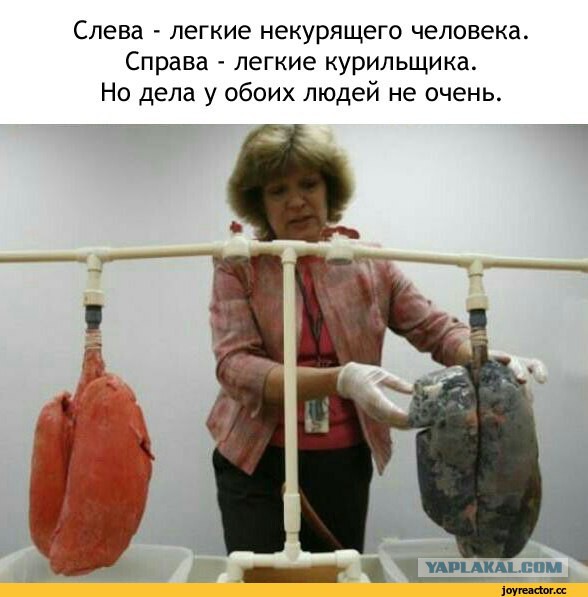 Курильщикам посвящается
