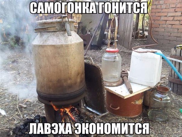 Подборка безудержного веселья