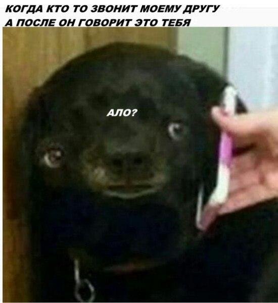 Приколы в стиле "регресс"