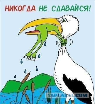 Хороший улов