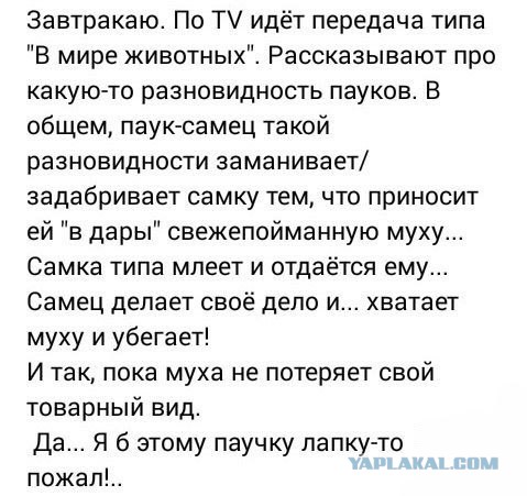 Подборка интересных и веселых картинок