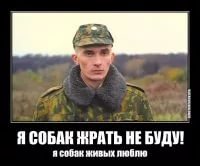 Вернулся из Северной Кореи живым - и ладно!