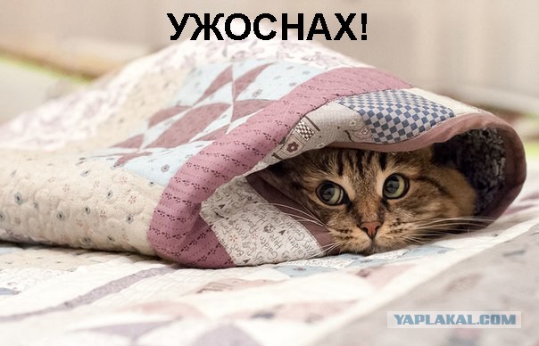 Женщины ЯПа нарушают регламент