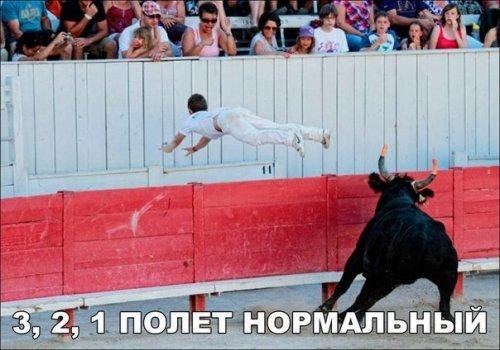 Немного картинок