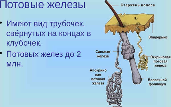 Типаж «яжедевочка - мне все должны»