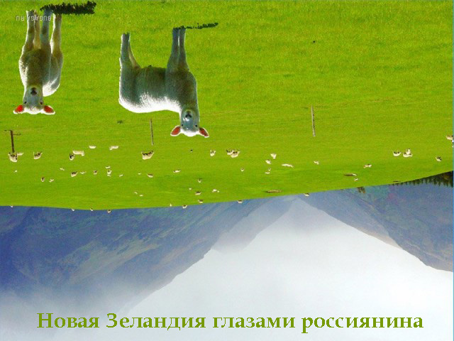 100 фактов о Новой Зеландии глазами россиянина