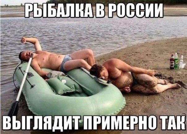 Смешные комментарии из социальных сетей 22.02.2018