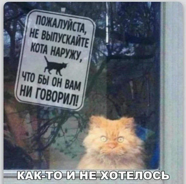 Подборка интересных и веселых картинок