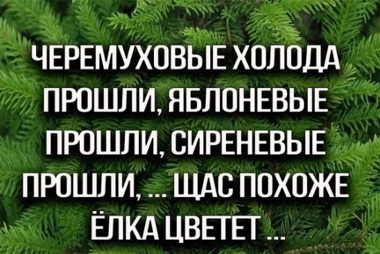 Немного картинок в этот субботний вечр