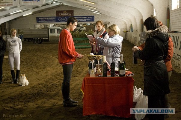 Котятовторник, 25.05.2010