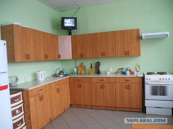 Синий кит уплыл, но обещал вернуться через 3 года