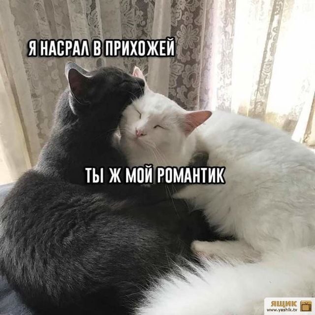 Я знаю, что вы делаете! Картинки смотрите!