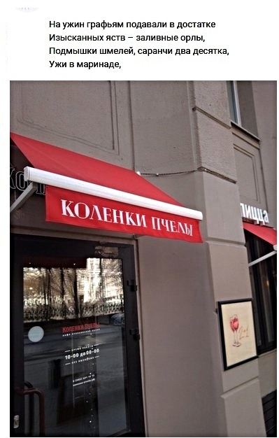 Анекдоты, соц-сети, истории и картинки с надписями