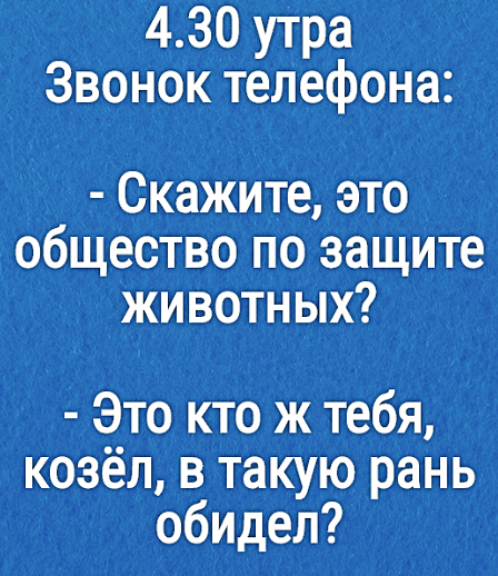 Картинки с надписями, истории и анекдоты