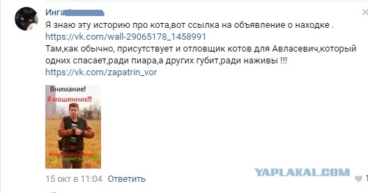 Помогите вернуть кота! Приют "Преданное сердце" украл кота и не отдает!