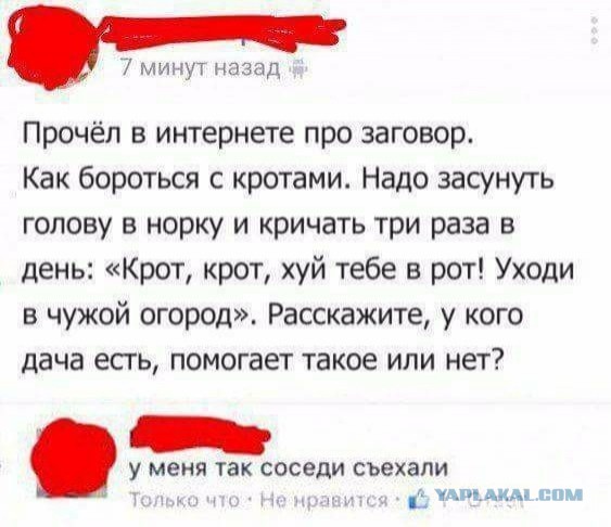 Не, ну крот это реально интересно!