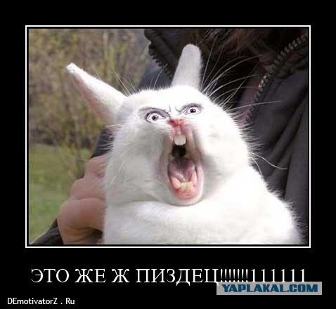 Анекдот от Алексея Кортнева