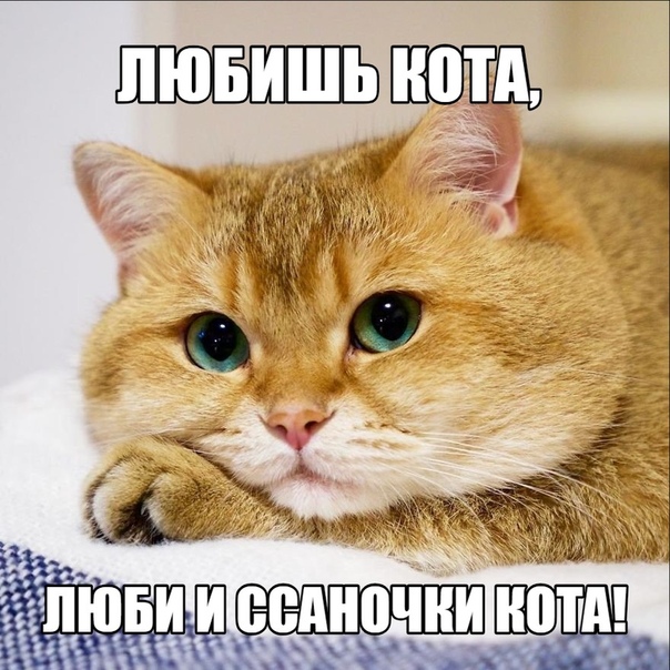 Немного картинок для настроения 17.01.20