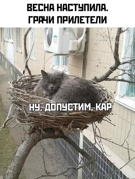 Картинки разные для настроения!