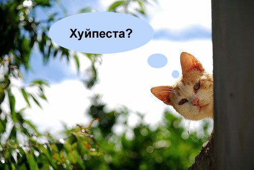 Отжабьте меня пожалуйста