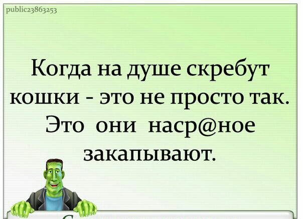 Тупые мемы
