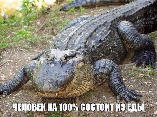 Чуток картинок 29.05.20