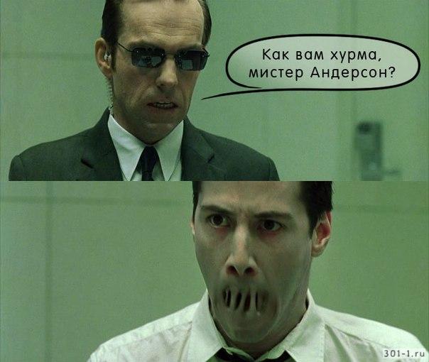 Застегнитесь и не провоцируйте! Неожиданно, однако