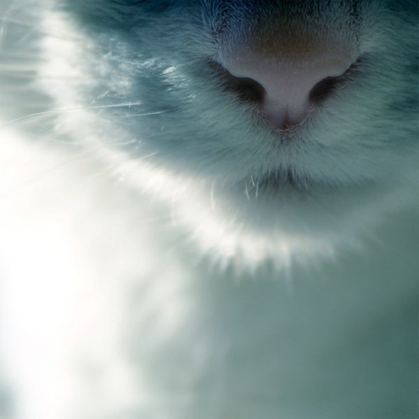 13 коротких историй