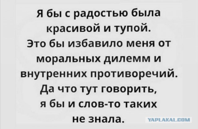 Муму плохо себя вёл