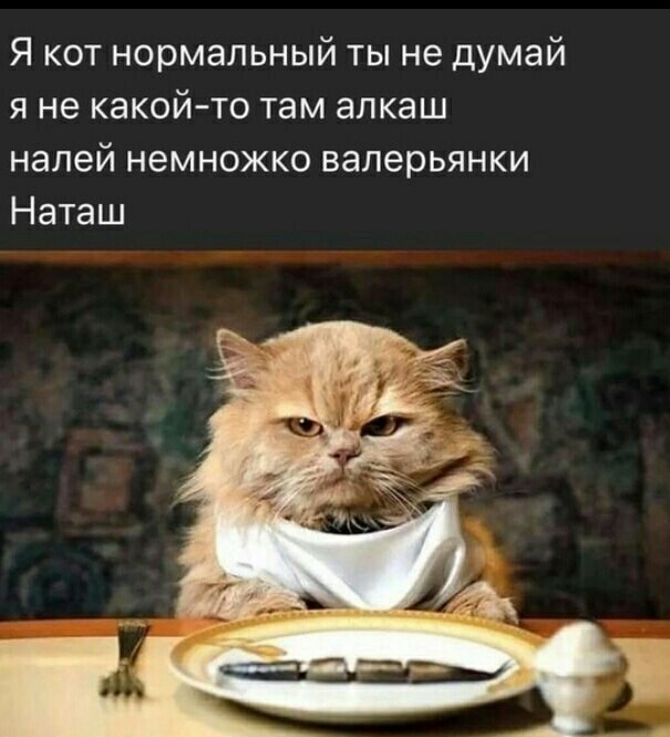 Наташа, вставай!