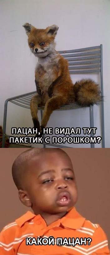 Таксидермия + наркомания