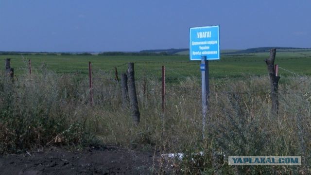 В Турции готовятся встретить открытие Египта обвалом цен на туры