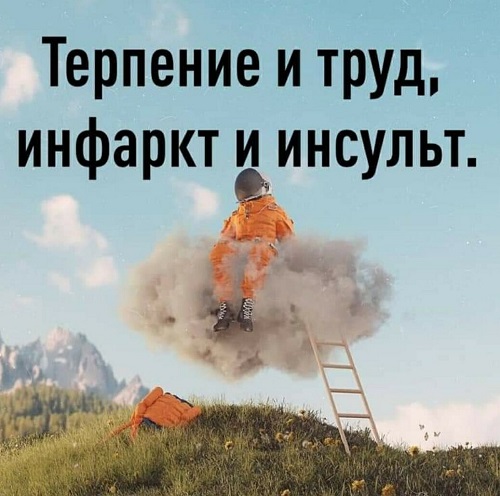 Шелушение коры