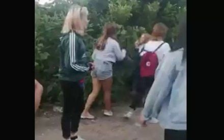 В Барнауле школьницы изнасиловали девочку