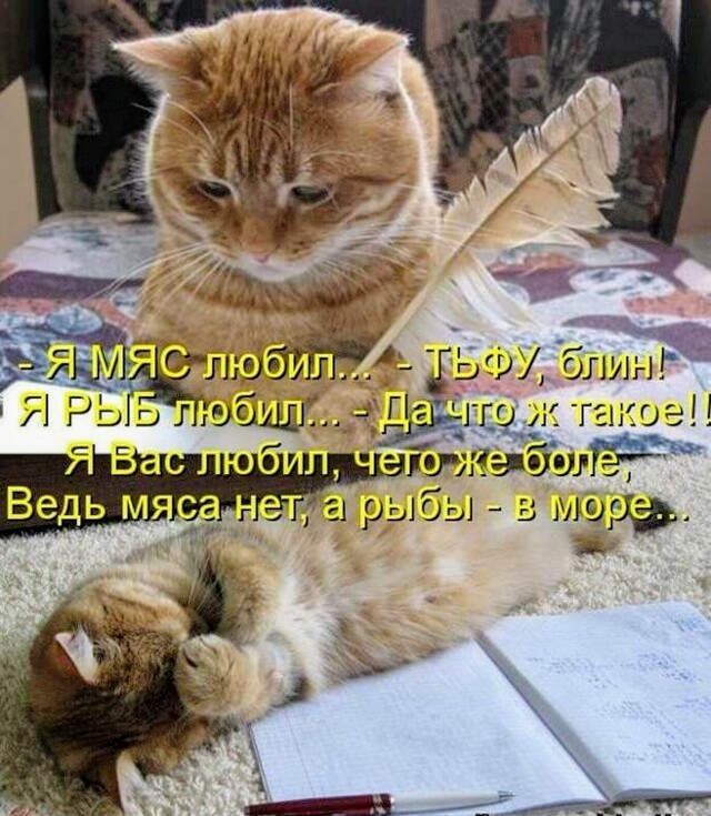 Картинки и мемы для настроения 04.08.2021