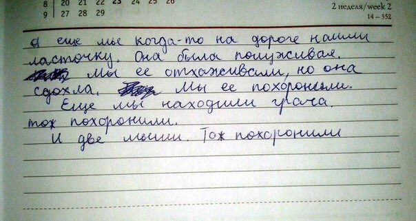 Маленькая подборка 05.09
