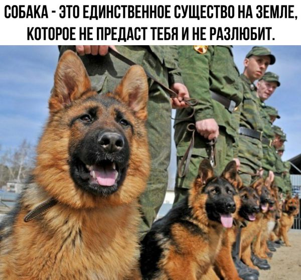 Один шаг и она начнется
